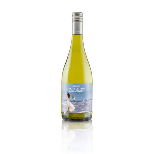 Estampa DelViento Sauvignon Blanc