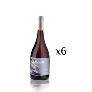 Estampa DelViento Pinot Noir x6