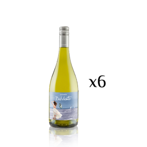 Estampa DelViento Sauvignon Blanc x6