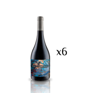 Estampa Inspiración Nebbiolo x6